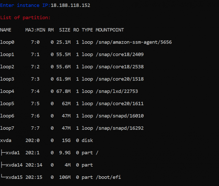 Python Script to expand filesystem in an EC2 instance
