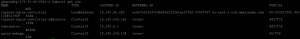 Nginx