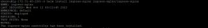 Nginx