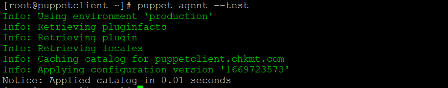 Puppet master and agent installation on RHEL 8