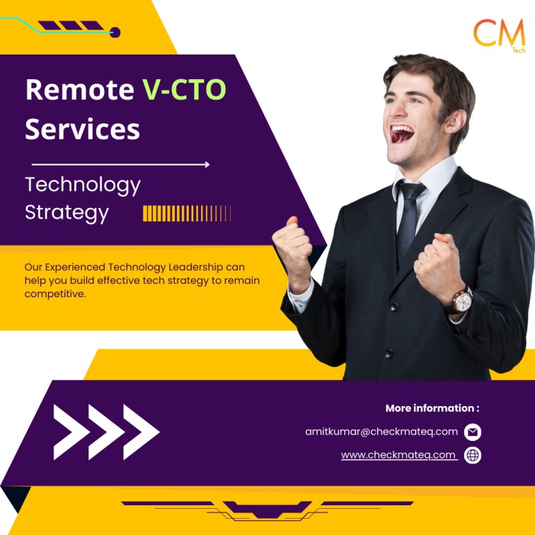 Remote Virtual CTO in India