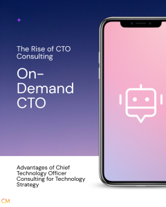 CTO Consulting